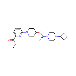 COC(=O)c1cccc(N2CCC(OC(=O)N3CCN(C4CCC4)CC3)CC2)n1 ZINC000223488341