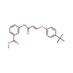 COC(=O)c1cccc(NC(=O)/C=C/Oc2ccc(C(C)(C)C)cc2)c1 ZINC000095580200