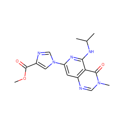 COC(=O)c1cn(-c2cc3ncn(C)c(=O)c3c(NC(C)C)n2)cn1 ZINC000115622853