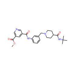 COC(=O)c1cncc(C(=O)Nc2cccc(CN3CCC(C(=O)NC(C)(C)C)CC3)c2)c1 ZINC001772581798