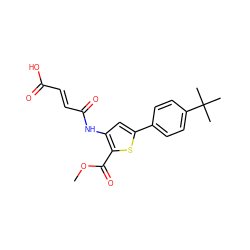 COC(=O)c1sc(-c2ccc(C(C)(C)C)cc2)cc1NC(=O)/C=C/C(=O)O ZINC000001029737