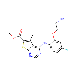 COC(=O)c1sc2ncnc(Nc3ccc(F)cc3OCCN)c2c1C ZINC000118793434