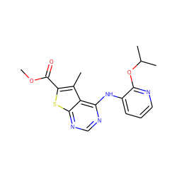 COC(=O)c1sc2ncnc(Nc3cccnc3OC(C)C)c2c1C ZINC000118737605