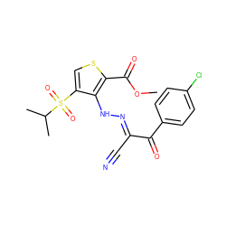 COC(=O)c1scc(S(=O)(=O)C(C)C)c1NN=C(C#N)C(=O)c1ccc(Cl)cc1 ZINC000253979451