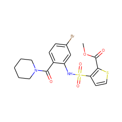 COC(=O)c1sccc1S(=O)(=O)Nc1cc(Br)ccc1C(=O)N1CCCCC1 ZINC000028969401