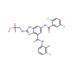 COC(C)(C)CNc1nc2c(C(=O)Nc3cccc(Cl)c3C)cc(NC(=O)c3cc(Cl)ccc3Cl)cc2[nH]1 ZINC000218683736