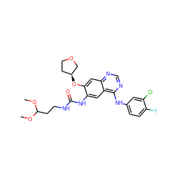 COC(CCNC(=O)Nc1cc2c(Nc3ccc(F)c(Cl)c3)ncnc2cc1O[C@H]1CCOC1)OC ZINC000103253622