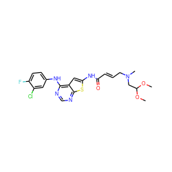 COC(CN(C)C/C=C/C(=O)Nc1cc2c(Nc3ccc(F)c(Cl)c3)ncnc2s1)OC ZINC000169311831