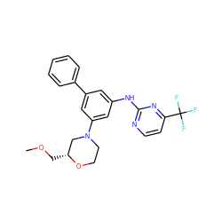 COC[C@@H]1CN(c2cc(Nc3nccc(C(F)(F)F)n3)cc(-c3ccccc3)c2)CCO1 ZINC001772615108