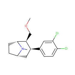 COC[C@H]1[C@@H](c2ccc(Cl)c(Cl)c2)C[C@@H]2CC[C@H]1N2C ZINC000148683296