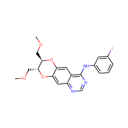 COC[C@H]1Oc2cc3ncnc(Nc4cccc(I)c4)c3cc2O[C@@H]1COC ZINC000034637954