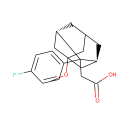 COC12CC3C[C@@H](C1)C(CC(=O)O)(c1ccc(F)cc1)[C@@H](C3)C2 ZINC000101450617