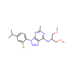 COCC(COC)Nc1nc(C)nc2c1nnn2-c1ccc(C(C)C)cc1Br ZINC000013794790