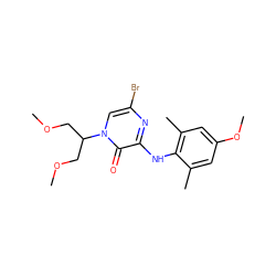 COCC(COC)n1cc(Br)nc(Nc2c(C)cc(OC)cc2C)c1=O ZINC000095554348