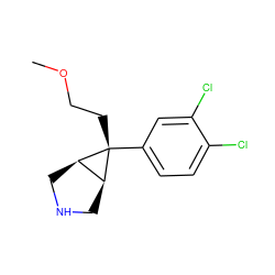 COCC[C@@]1(c2ccc(Cl)c(Cl)c2)[C@H]2CNC[C@H]21 ZINC000101954320