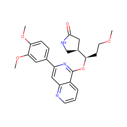 COCC[C@@H](Oc1nc(-c2ccc(OC)c(OC)c2)cc2ncccc12)[C@H]1CNC(=O)C1 ZINC000141921995