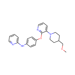 COCC1CCN(c2cccnc2Oc2ccc(Nc3ccccn3)cc2)CC1 ZINC000138985215