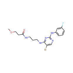 COCCC(=O)NCCCNc1nc(Nc2cccc(F)c2)ncc1Br ZINC000095563416