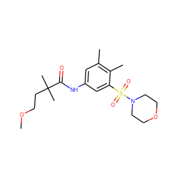 COCCC(C)(C)C(=O)Nc1cc(C)c(C)c(S(=O)(=O)N2CCOCC2)c1 ZINC000045393011