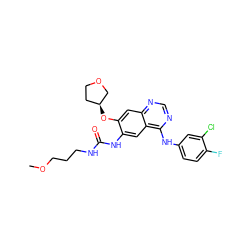 COCCCNC(=O)Nc1cc2c(Nc3ccc(F)c(Cl)c3)ncnc2cc1O[C@H]1CCOC1 ZINC000103253618