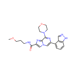 COCCCNC(=O)c1cn2cc(-c3cccc4[nH]ncc34)nc(N3CCOCC3)c2n1 ZINC000073310387