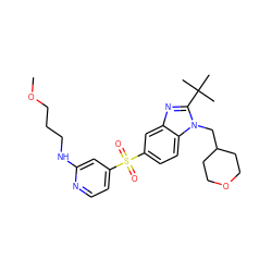 COCCCNc1cc(S(=O)(=O)c2ccc3c(c2)nc(C(C)(C)C)n3CC2CCOCC2)ccn1 ZINC000082154146