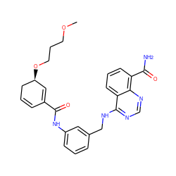 COCCCO[C@H]1C=C(C(=O)Nc2cccc(CNc3ncnc4c(C(N)=O)cccc34)c2)C=CC1 ZINC000166965053