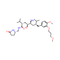 COCCCOc1cc(C[C@@H](C[C@H](N)[C@@H](O)C[C@H](C(=O)NC[C@@H]2CCC(=O)N2)C(C)C)C(C)C)ccc1OC ZINC000014967713