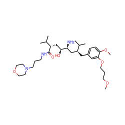 COCCCOc1cc(C[C@@H](C[C@H](N)[C@@H](O)C[C@H](C(=O)NCCCN2CCOCC2)C(C)C)C(C)C)ccc1OC ZINC000028711777