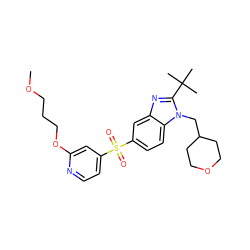 COCCCOc1cc(S(=O)(=O)c2ccc3c(c2)nc(C(C)(C)C)n3CC2CCOCC2)ccn1 ZINC000043178531