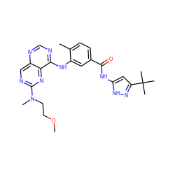 COCCN(C)c1ncc2ncnc(Nc3cc(C(=O)Nc4cc(C(C)(C)C)n[nH]4)ccc3C)c2n1 ZINC000148310987
