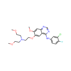 COCCN(CCOC)CCOc1cc2c(Nc3ccc(F)c(Cl)c3)ncnc2cc1OC ZINC000029564152