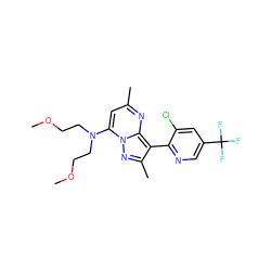 COCCN(CCOC)c1cc(C)nc2c(-c3ncc(C(F)(F)F)cc3Cl)c(C)nn12 ZINC000028368305