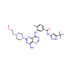 COCCN1CCN(c2nc(N)c3ncnc(Nc4cc(C(=O)Nc5cc(C(C)(C)C)[nH]n5)ccc4C)c3n2)CC1 ZINC000140593222