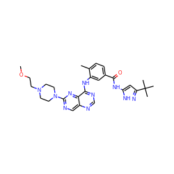 COCCN1CCN(c2ncc3ncnc(Nc4cc(C(=O)Nc5cc(C(C)(C)C)n[nH]5)ccc4C)c3n2)CC1 ZINC000148291881
