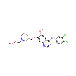 COCCN1CCO[C@@H](COc2cc3ncnc(Nc4ccc(Cl)c(Cl)c4)c3cc2OC)C1 ZINC000114820673