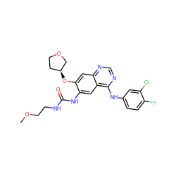 COCCNC(=O)Nc1cc2c(Nc3ccc(F)c(Cl)c3)ncnc2cc1O[C@H]1CCOC1 ZINC000103253656