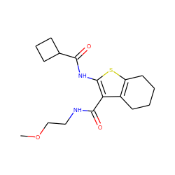 COCCNC(=O)c1c(NC(=O)C2CCC2)sc2c1CCCC2 ZINC000095561362