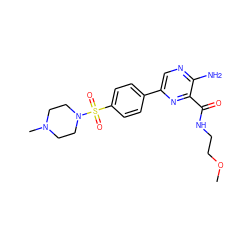 COCCNC(=O)c1nc(-c2ccc(S(=O)(=O)N3CCN(C)CC3)cc2)cnc1N ZINC000038659926