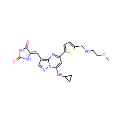 COCCNCc1ccc(-c2cc(NC3CC3)n3ncc(/C=C4\NC(=O)NC4=O)c3n2)s1 ZINC000144897509