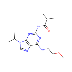 COCCNc1nc(NC(=O)C(C)C)nc2c1ncn2C(C)C ZINC000028642341