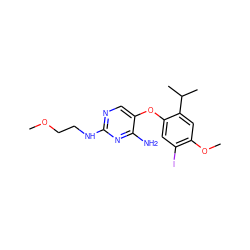 COCCNc1ncc(Oc2cc(I)c(OC)cc2C(C)C)c(N)n1 ZINC000045506125