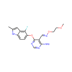 COCCO/N=C/c1c(N)ncnc1Oc1ccc2[nH]c(C)cc2c1F ZINC000014949825