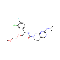 COCCOC[C@@H](NC(=O)N1CCc2cnc(NC(C)C)nc2C1)c1ccc(F)c(Cl)c1 ZINC000169326162