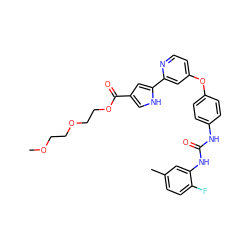 COCCOCCOC(=O)c1c[nH]c(-c2cc(Oc3ccc(NC(=O)Nc4cc(C)ccc4F)cc3)ccn2)c1 ZINC000116236434