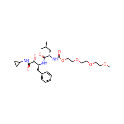 COCCOCCOCCOC(=O)N[C@@H](CC(C)C)C(=O)N[C@@H](Cc1ccccc1)C(=O)C(=O)NC1CC1 ZINC000040409352