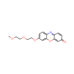 COCCOCCOc1ccc2nc3ccc(=O)cc-3oc2c1 ZINC000199627574