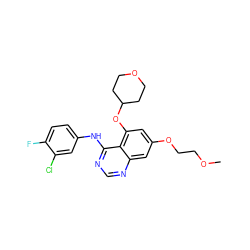 COCCOc1cc(OC2CCOCC2)c2c(Nc3ccc(F)c(Cl)c3)ncnc2c1 ZINC000028572057