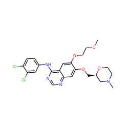 COCCOc1cc2c(Nc3ccc(Cl)c(Cl)c3)ncnc2cc1OC[C@@H]1CN(C)CCO1 ZINC000114821034