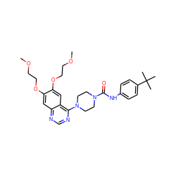 COCCOc1cc2ncnc(N3CCN(C(=O)Nc4ccc(C(C)(C)C)cc4)CC3)c2cc1OCCOC ZINC000013475637